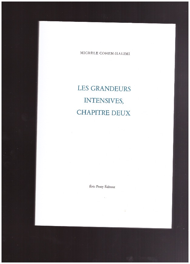 COHEN-HALIMI, Michèle - Les grandeurs intensives, chapitre deux